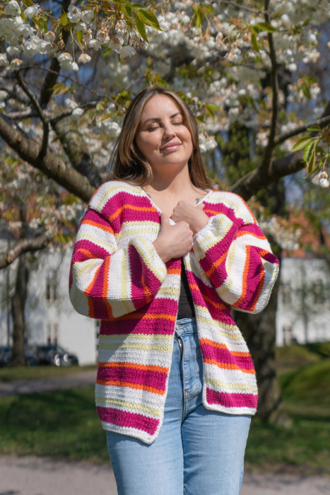 Fantasi Cardigan (Amiga)
