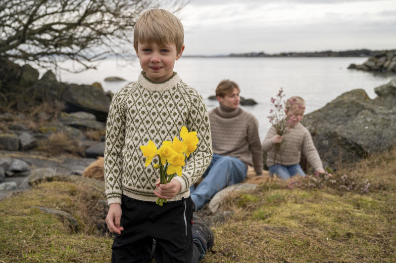 DSA - Islender Trøje 109-03 Sterk