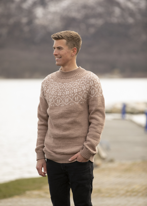 Viking - Allehånde Trøje 2221-7