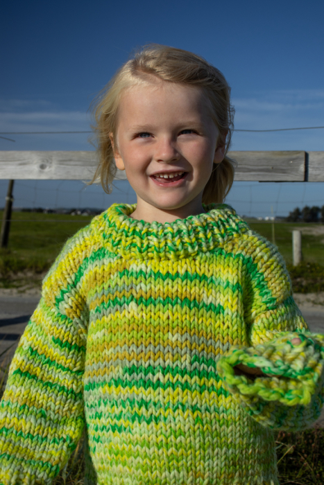 Ullrikke Trøje 311-07