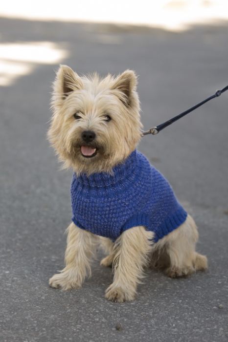Viking - Refleksvest hund 1711-26