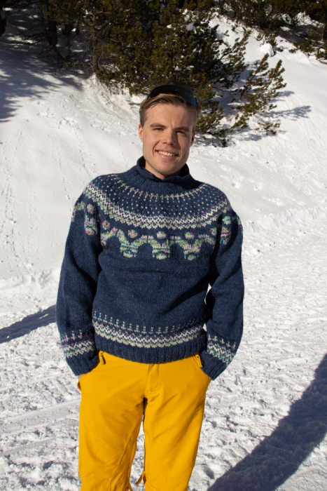 Litjåsen Genser 482-01